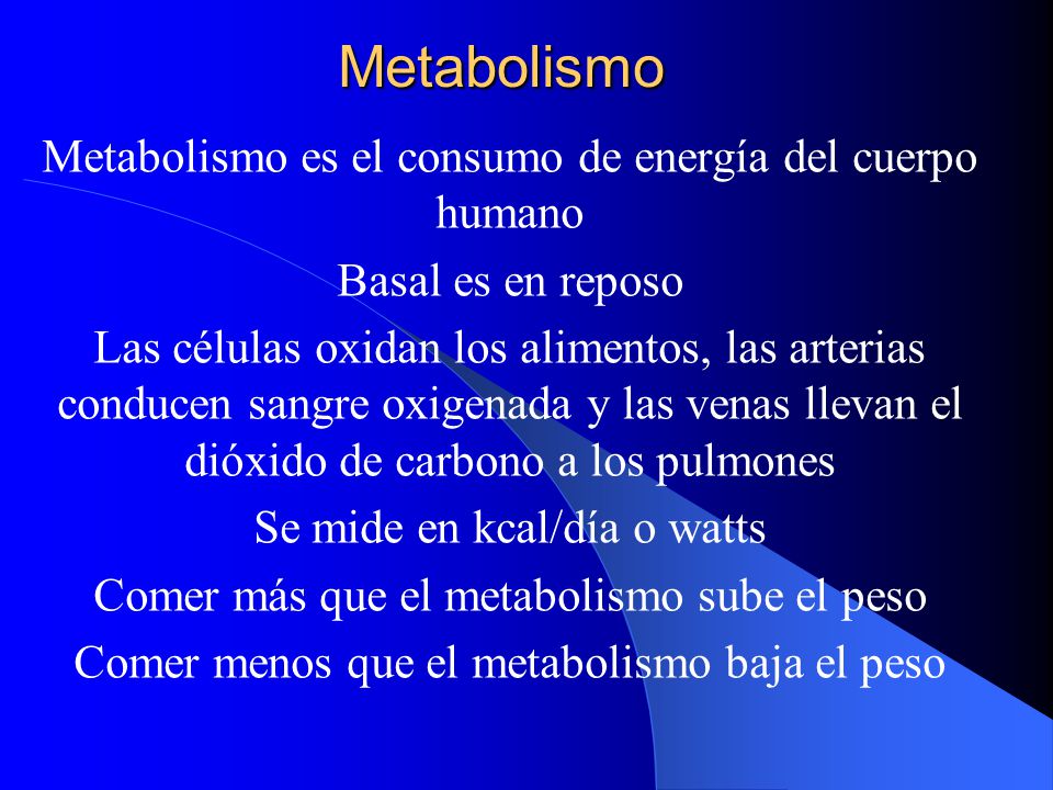 El metabolismo del cuerpo humano